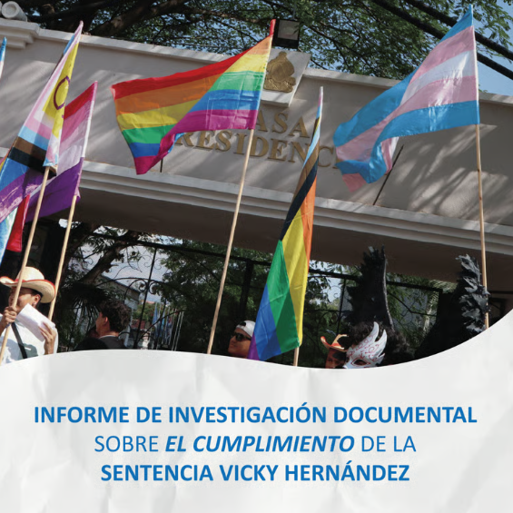 Informe de investigación documental sobre el cumplimiento de la Sentencia Vicky Hernández